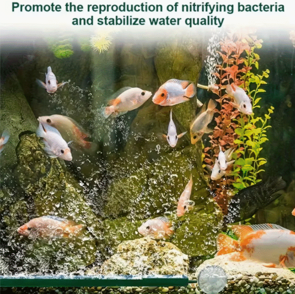 Non Electric Aquarium Bubble Pump Oxygenator