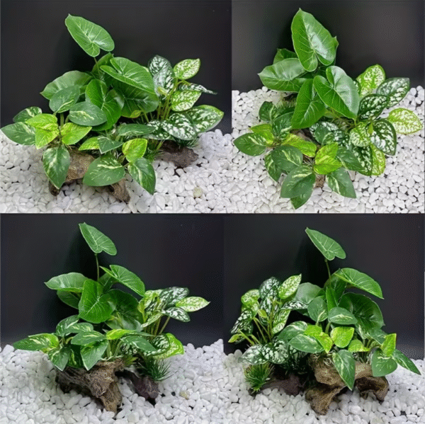 Screenshot 2025-11-27 at 12.45.32 Aquarium Plant and Decoration Set with Sinking Wood set