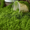 Artificial Moss Decoration Pack