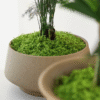 Artificial Moss Decoration Pack