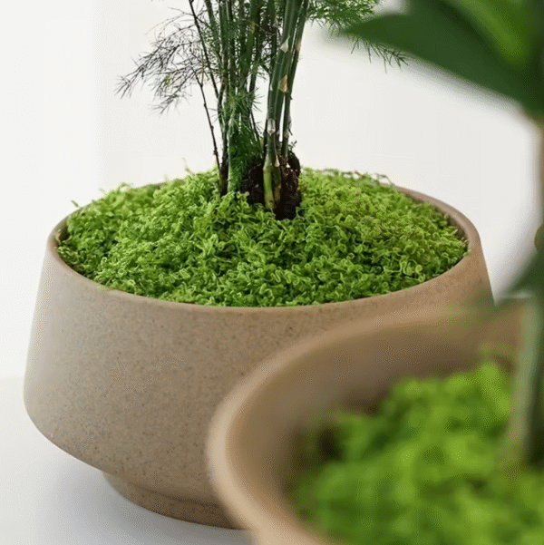 Artificial Moss Decoration Pack
