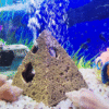 Egyptian Pyramids Stone Cave Aquarium Ornament