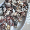Screenshot 2025-11-30 at 16.26.11 30g Assorted Mini Shells for Crafts and Aquariums